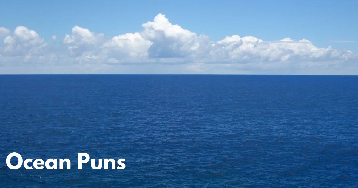 150 Ocean Puns That Will Have You Swimming in Laughter