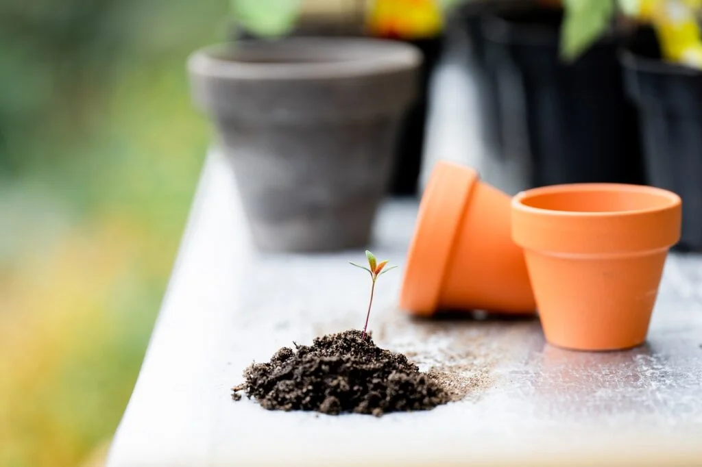 224+ Soil Puns That Will Have You Digging Up Laughs