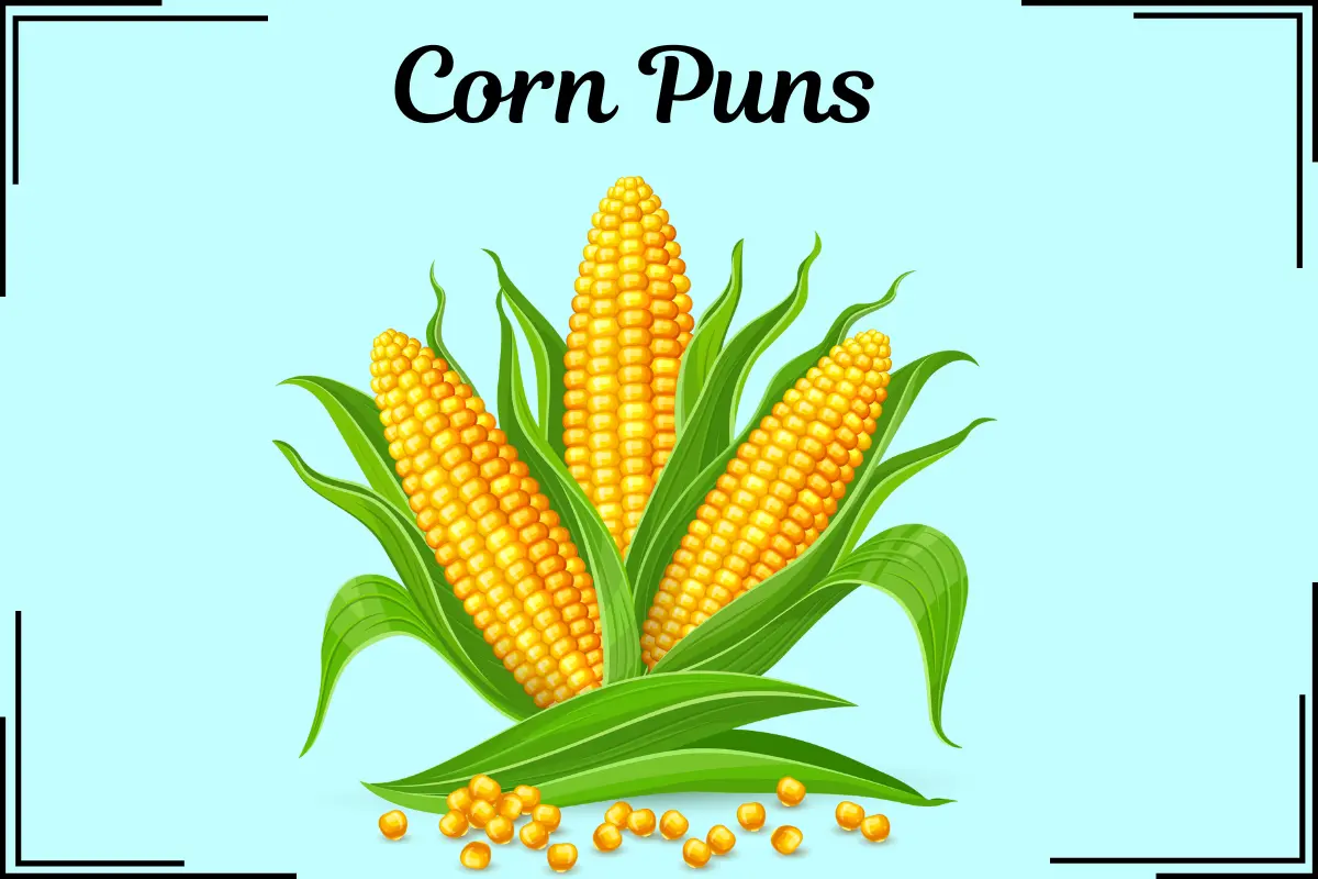 225+ Corn Puns That Will Make You Laugh Out Loud